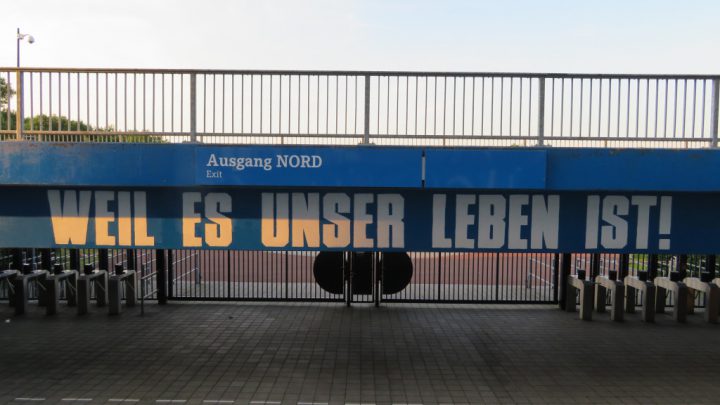 Gegen königsblaue Entzugserscheinungen: Der Schalker Sommer-Fahrplan
