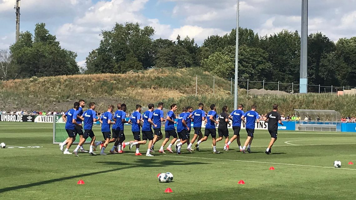 Schalke startet ins Training