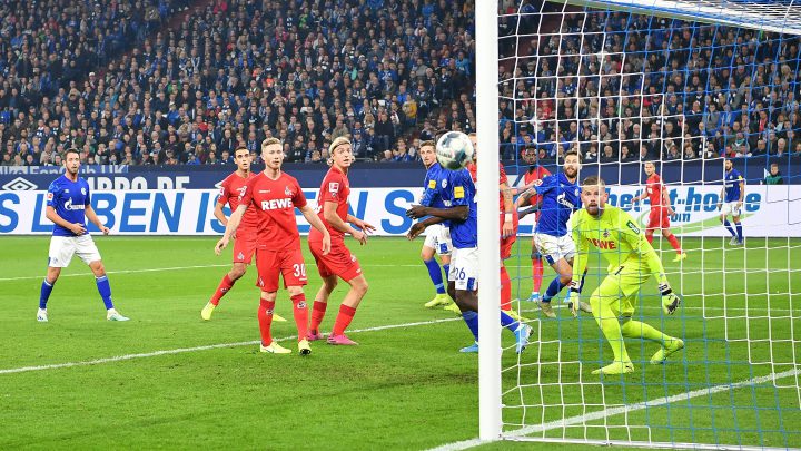 1:1 gegen Köln: Fast-Spitzenreiter FC Schalke 04