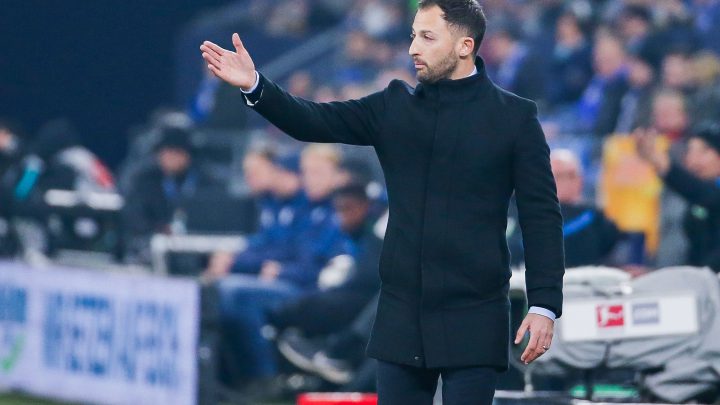 Domenico Tedesco verschwindet wohl von der Schalker Gehaltsliste