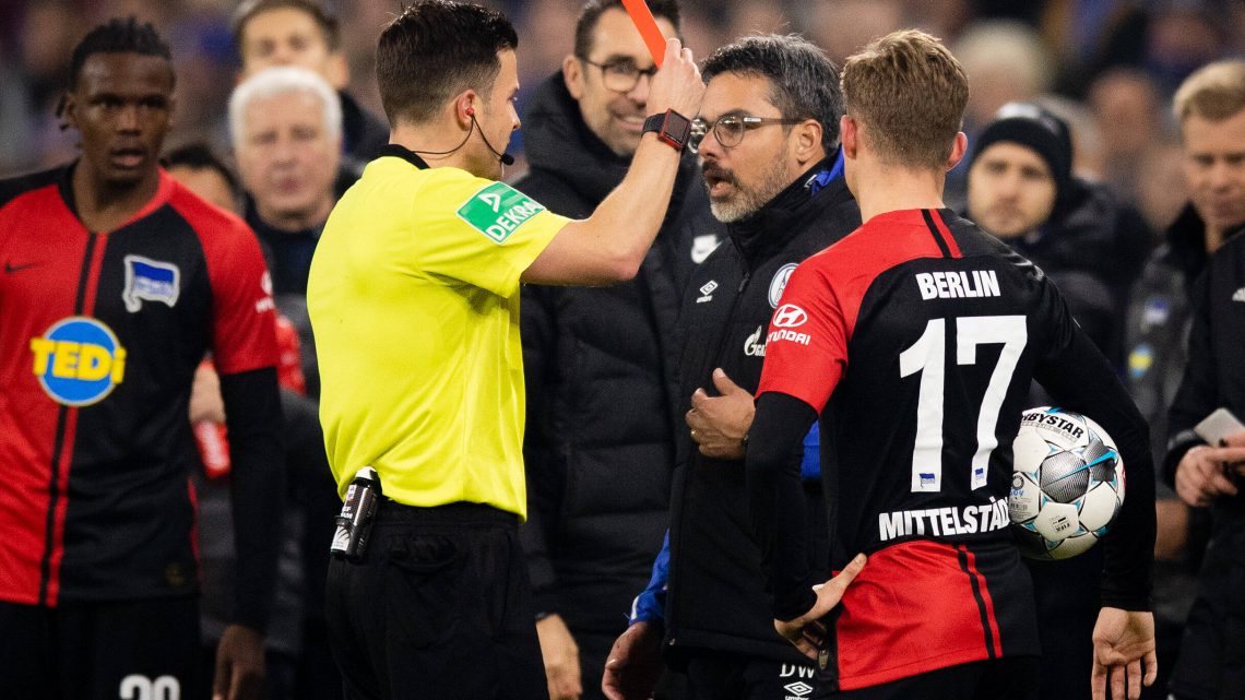 DFB stellt Verfahren gegen David Wagner ein