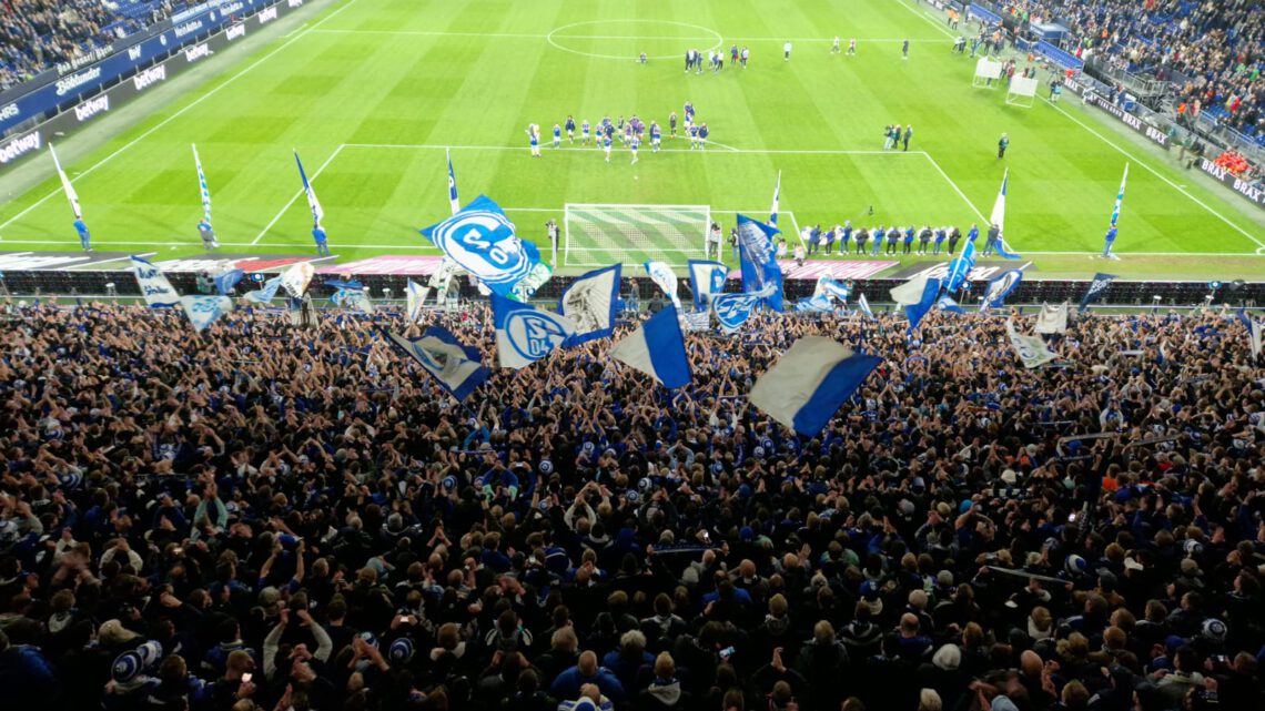 Schalke – Mainz 1:0: Großer Kampf zum umjubelten Heimsieg