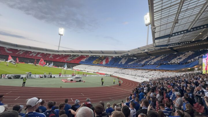 Nürnberg – Schalke 3:0: Die tun nix, die wollen nur trinken
